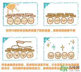 cure去角質(zhì)凝膠怎么用？cure去角質(zhì)使用方法