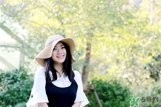 黛安芬內(nèi)衣怎么樣？黛安芬內(nèi)衣價格圖片