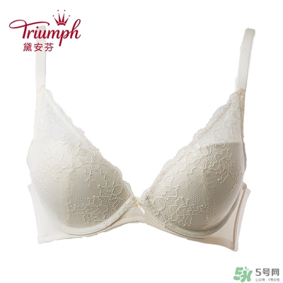 黛安芬內(nèi)衣怎么樣？黛安芬內(nèi)衣價格圖片