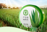 雅麗潔蘆薈膠多少錢？雅麗潔蘆薈膠好不好？