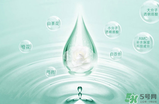 一葉子水光霜怎么用？一葉子水光霜使用方法