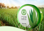 雅麗潔蘆薈膠多少錢？雅麗潔蘆薈膠好不好？
