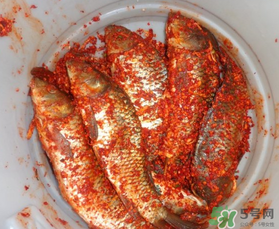 腌魚放多少鹽？腌魚放鹽的比例