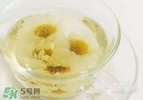 菊花茶什么時候喝最好？菊花茶什么季節(jié)喝最好？