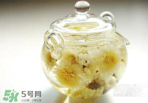 菊花茶什么時候喝最好？菊花茶什么季節(jié)喝最好？