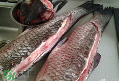 新鮮魚怎么腌制咸魚塊？咸魚塊怎么腌制