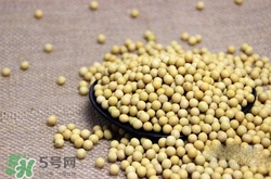 黃豆糖尿病人能吃嗎？糖尿病可以吃黃豆嗎？