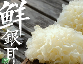 新鮮銀耳有毒嗎？新鮮銀耳怎么去毒？