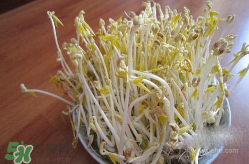 豆芽糖尿病可以吃嗎？糖尿病吃豆芽有什么好處？