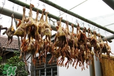 孕婦可以吃臘雞嗎？懷孕了能吃臘雞嗎？