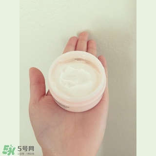 the body shop維e晚霜怎么用？美體小鋪維e晚霜使用方法
