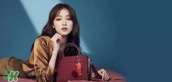 李圣經(jīng)的包包什么牌子？李圣經(jīng)包包同款