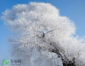 2017年第一場(chǎng)雪什么時(shí)候？2017年什么時(shí)候下雪？