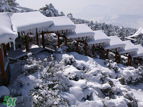 2017年第一場(chǎng)雪什么時(shí)候？2017年什么時(shí)候下雪？