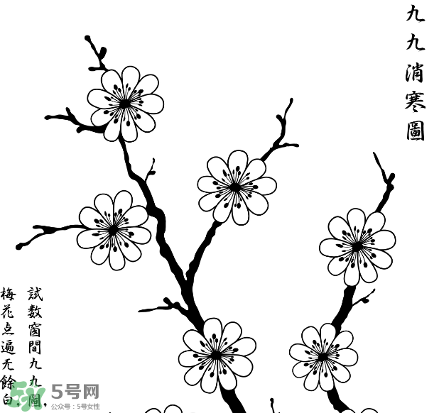 數(shù)九天什么時(shí)候最冷？數(shù)九天幾九最冷？