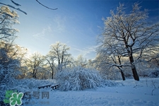 2017年過年天氣怎么樣？2017過年會下雨嗎？
