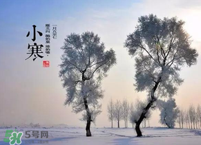 小寒和大寒哪個(gè)冷？小寒大寒什么意思？