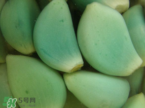 臘八醋里的蒜能吃嗎？臘八醋里的蒜好吃嗎？