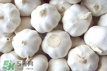 2017過年大蒜會(huì)漲價(jià)嗎？2017年春節(jié)大蒜價(jià)格預(yù)測