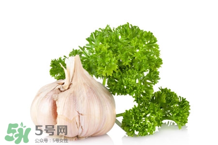 2017過年大蒜會(huì)漲價(jià)嗎？2017年春節(jié)大蒜價(jià)格預(yù)測