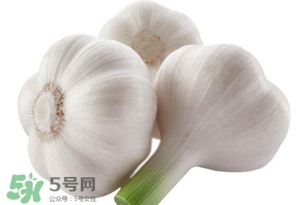 2017過年大蒜會(huì)漲價(jià)嗎？2017年春節(jié)大蒜價(jià)格預(yù)測