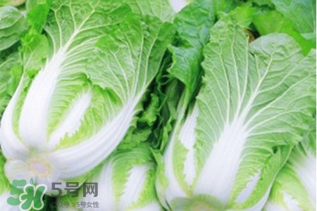 2017過(guò)年白菜會(huì)漲價(jià)嗎？2017年春節(jié)白菜價(jià)格預(yù)測(cè)