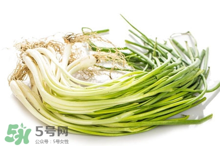 2017過年小蔥會漲價嗎？2017年春節(jié)小蔥價格預(yù)測