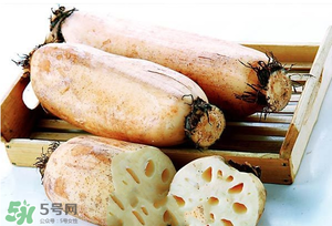 蓮藕多少錢一斤？蓮藕多少錢一斤2017？