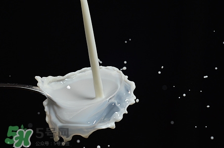 豆?jié){和牛奶哪個(gè)更有營養(yǎng)?豆?jié){和牛奶哪個(gè)好