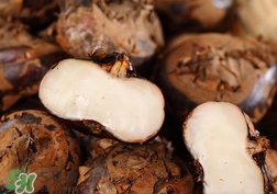 煮荸薺需要多長時(shí)間?荸薺煮多長時(shí)間才熟? 煮荸薺需要多長時(shí)間?荸薺煮多長時(shí)間才熟?