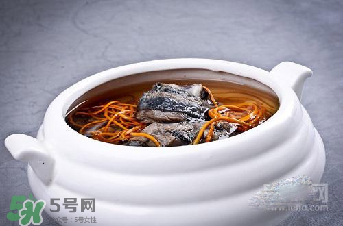 蟲草花怎么吃？蟲草花的吃法用量
