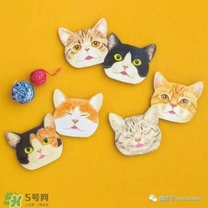 felissimo貓爪化妝棉多少錢？felissimo貓爪化妝棉哪里買？