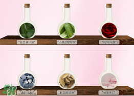 千纖草絲瓜水孕婦可以用嗎？千纖草絲瓜水怎么用？