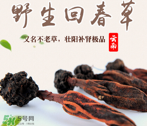 回春草多少錢一斤？回春草多少錢一克？