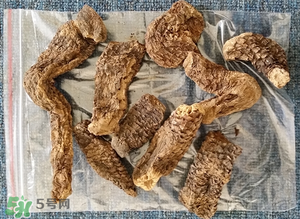 野生肉蓯蓉多少錢一斤？肉蓯蓉價格一斤多少錢？