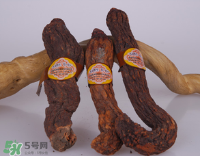 鎖陽(yáng)和肉蓯蓉一起泡酒可以嗎？肉蓯蓉和鎖陽(yáng)的區(qū)別
