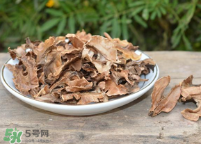 分心木真的能治失眠嗎？分心木治療失眠有奇效