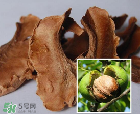 核桃分心木能長(zhǎng)期喝嗎？核桃分心木一天喝幾次？
