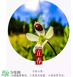 立春可以出門嗎？立春為什么不能出門？