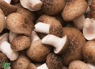 一歲寶寶可以吃香菇嗎？寶寶多大可以吃香菇？
