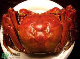 臘月吃什么蟹？臘月吃公蟹還是母蟹？