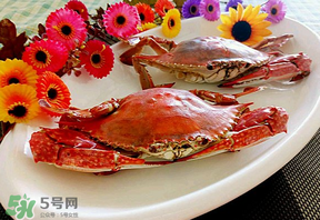 臘月吃什么蟹？臘月吃公蟹還是母蟹？