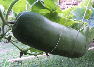 臘月吃什么？臘月吃什么好？