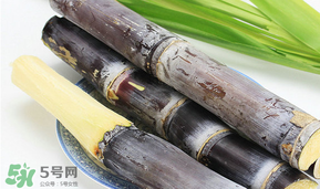 臘月吃什么？臘月吃什么好？