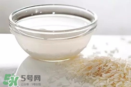 米飯熱量高嗎？吃米飯會胖嗎？