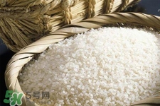 米飯熱量高嗎？吃米飯會胖嗎？