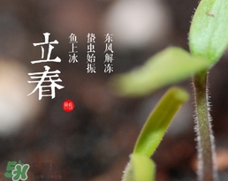 立春吃什么蔬菜？立春時令蔬菜推薦