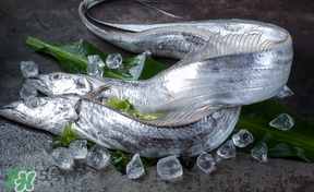 帶魚多少錢一斤？帶魚多少錢一箱？