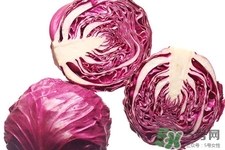 紫甘藍(lán)是轉(zhuǎn)基因食品嗎？紫甘藍(lán)是轉(zhuǎn)基因蔬菜嗎？
