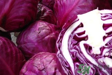 紫甘藍(lán)是轉(zhuǎn)基因食品嗎？紫甘藍(lán)是轉(zhuǎn)基因蔬菜嗎？